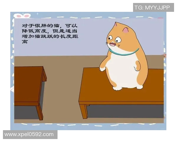 有氧运动的科学原理与实践方法探讨：提升心肺功能与健康的全面指南